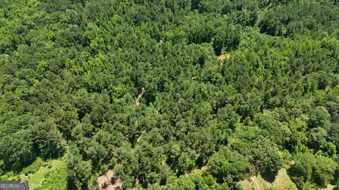 6 Watsons Mill Rd, Comer, GA 30629 photo 9