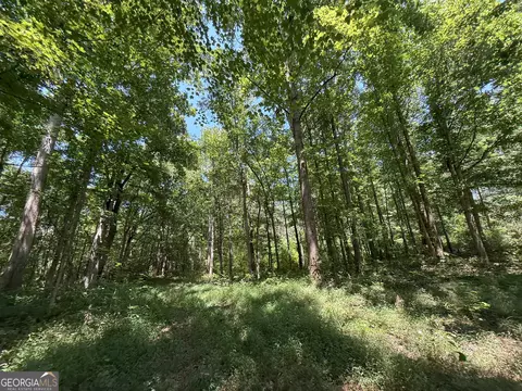 6 Watsons Mill Rd, Comer, GA 30629 photo 42
