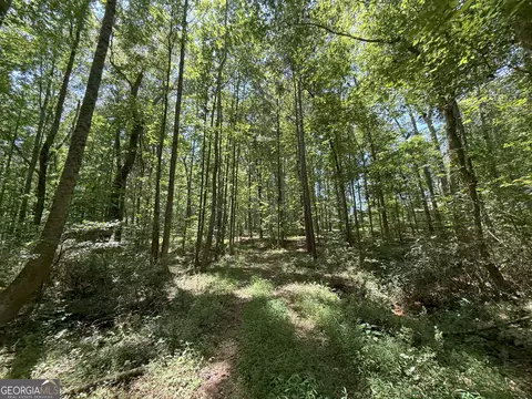 6 Watsons Mill Rd, Comer, GA 30629 photo 33