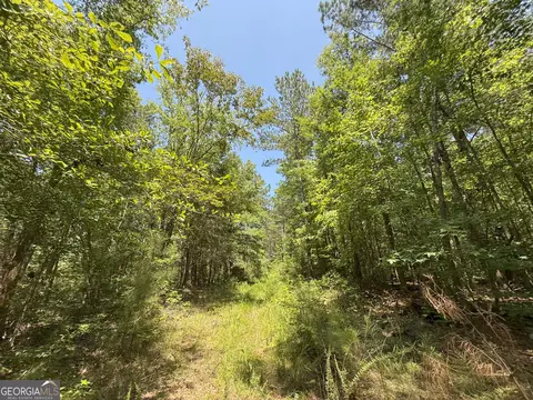 6 Watsons Mill Rd, Comer, GA 30629 photo 45