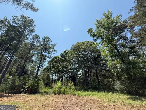 6 Watsons Mill Rd, Comer, GA 30629 photo 87