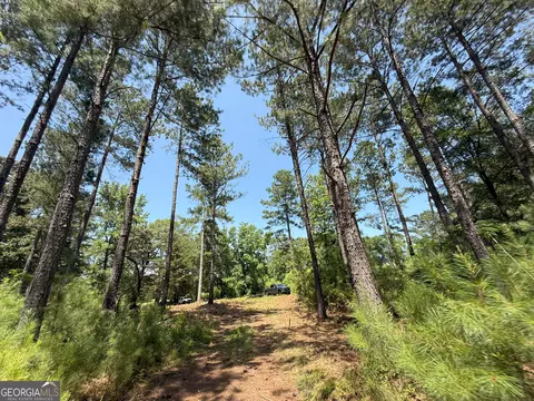 6 Watsons Mill Rd, Comer, GA 30629 photo 49
