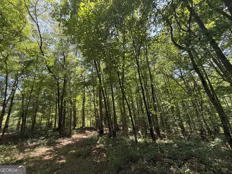 6 Watsons Mill Rd, Comer, GA 30629 photo 62
