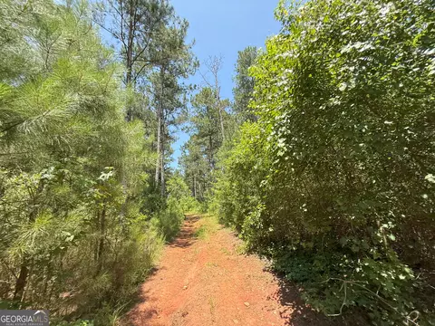6 Watsons Mill Rd, Comer, GA 30629 photo 51