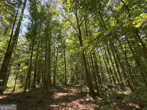 6 Watsons Mill Rd, Comer, GA 30629 photo 60