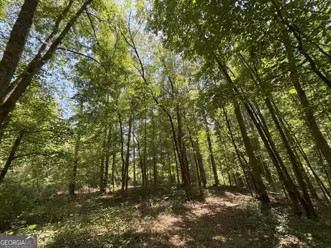 6 Watsons Mill Rd, Comer, GA 30629 photo 61
