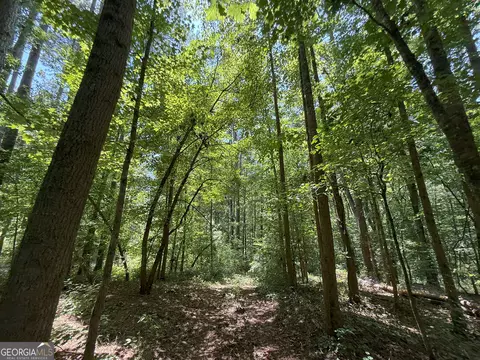 6 Watsons Mill Rd, Comer, GA 30629 photo 59