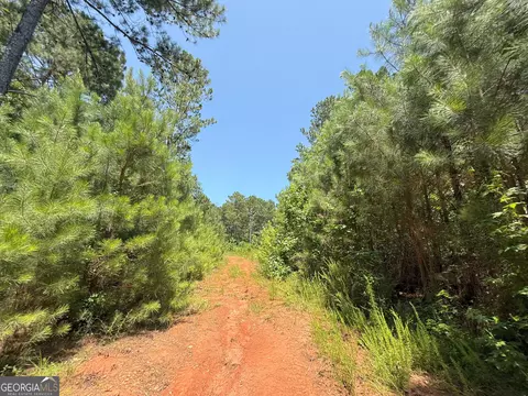 6 Watsons Mill Rd, Comer, GA 30629 photo 54