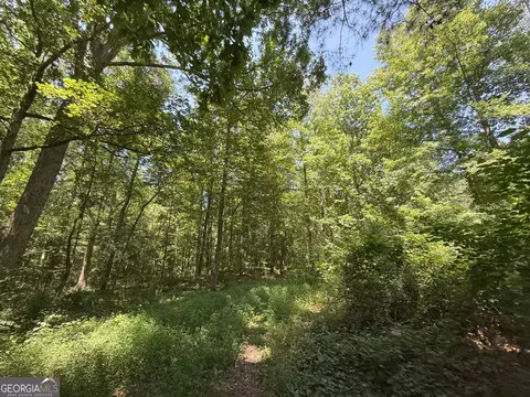 6 Watsons Mill Rd, Comer, GA 30629 photo 41
