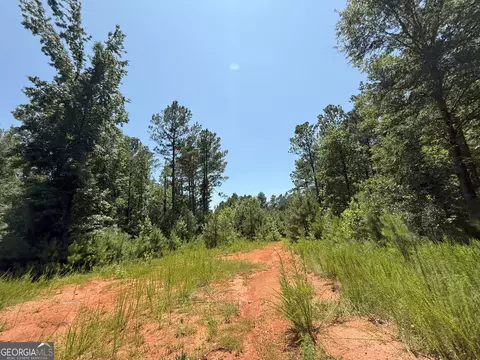 6 Watsons Mill Rd, Comer, GA 30629 photo 70