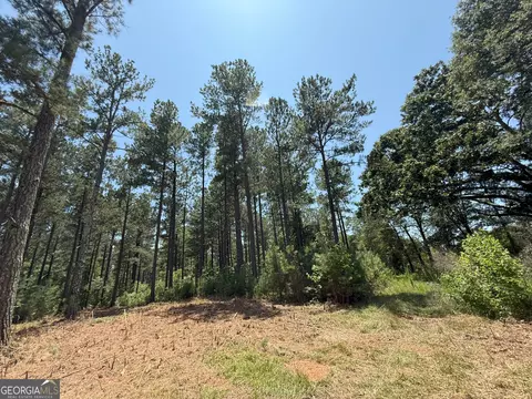 6 Watsons Mill Rd, Comer, GA 30629 photo 86