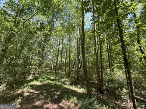 6 Watsons Mill Rd, Comer, GA 30629 photo 38