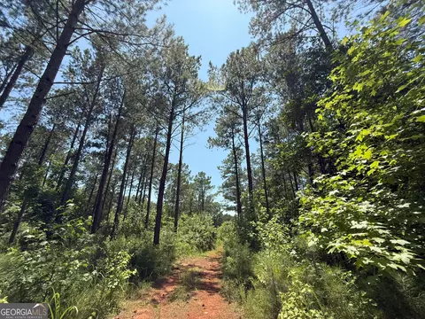 6 Watsons Mill Rd, Comer, GA 30629 photo 75