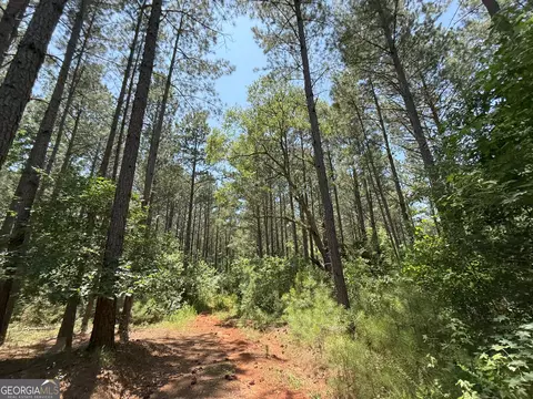 6 Watsons Mill Rd, Comer, GA 30629 photo 68