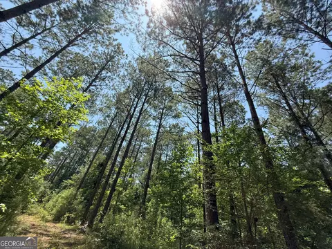 6 Watsons Mill Rd, Comer, GA 30629 photo 66