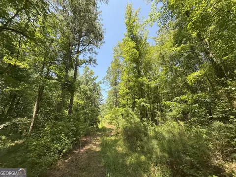 6 Watsons Mill Rd, Comer, GA 30629 photo 58