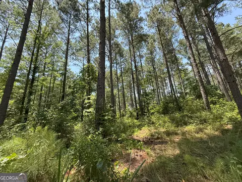 6 Watsons Mill Rd, Comer, GA 30629 photo 76