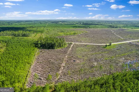 Tract 4 Morris Break Road, Odum, GA 31555