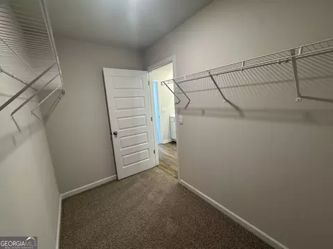 143 Oakchase Park Ln, Hampton, GA 30228 photo 35
