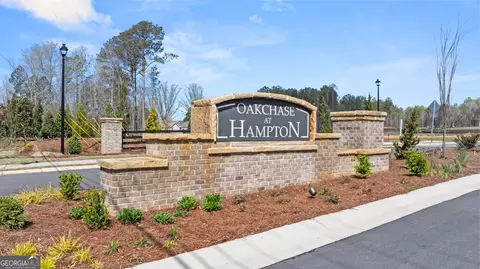 143 Oakchase Park Ln, Hampton, GA 30228 photo 47