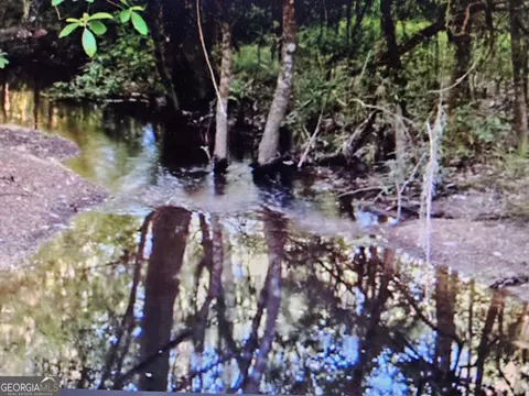 001 Old Vienna Rd, Elko, GA 31025