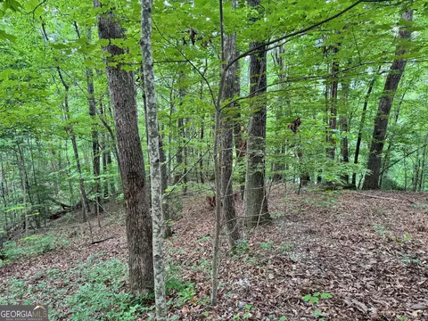 0 Black Bear Den Rd, Clayton, GA 30525