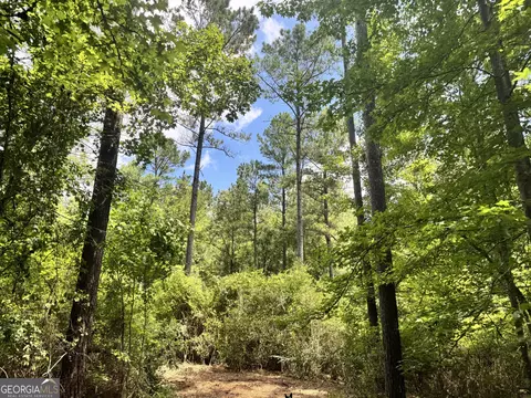 13 4- Ac Johnson Rd, Hogansville, GA 30230