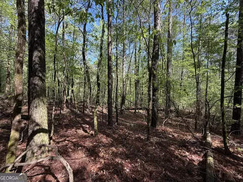 2548 Callaway Rd, Rayle, GA 30660 photo 37