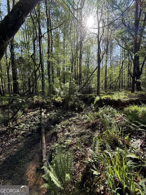 2548 Callaway Rd, Rayle, GA 30660 photo 34