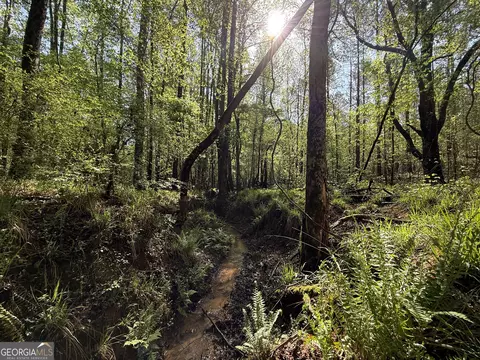 2548 Callaway Rd, Rayle, GA 30660 photo 36