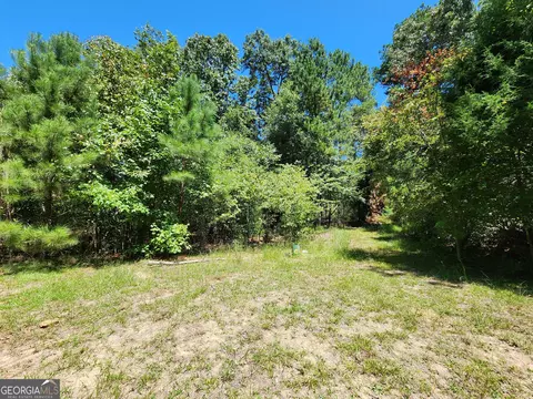 0 W Highway 36, Jackson, GA 30233 photo 9