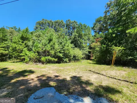 0 W Highway 36, Jackson, GA 30233 photo 8