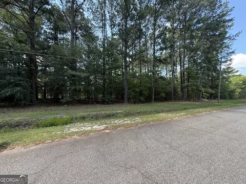 0 Fairway Ln, Hawkinsville, GA 31036