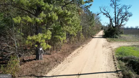 0 Ennis School Rd, Sylvania, GA 30467