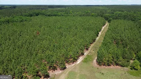 0 W River Rd, Rhine, GA 31077