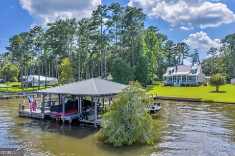 Other - 687 Flintside Dr, Cobb, GA 31735 photo 17 of 21