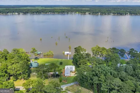 View/Area - 687 Flintside Dr, Cobb, GA 31735 photo 6 of 11
