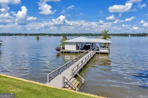 View/Area - 687 Flintside Dr, Cobb, GA 31735 photo 3 of 11