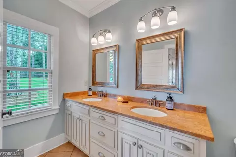 Bath - 687 Flintside Dr, Cobb, GA 31735 photo 2 of 5
