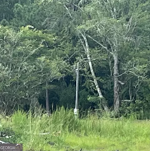 647 Gibson Cir, Hortense, GA 31543