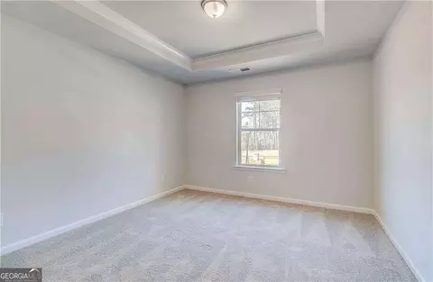 161 Haverling Pass, Hampton, GA 30228 photo 23