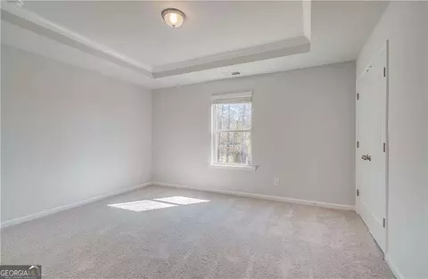 161 Haverling Pass, Hampton, GA 30228 photo 24