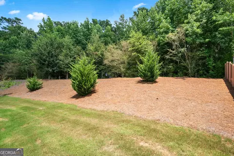 221 Sullivan St, Hampton, GA 30228 photo 29