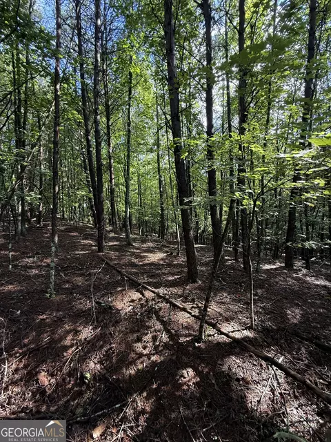 lot5 Marci Ln, Sautee Nacoochee, GA 30571