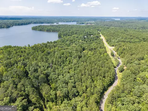 32 Eagle Pointe, Lincolnton, GA 30817 photo 5