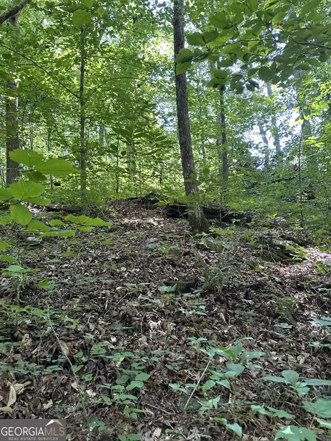 0 Hidden, Jasper, GA 30143 photo 11