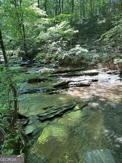 0 Hidden, Jasper, GA 30143 photo 8