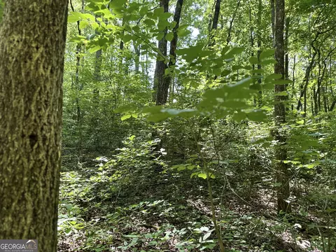 0 Hidden, Jasper, GA 30143 photo 6