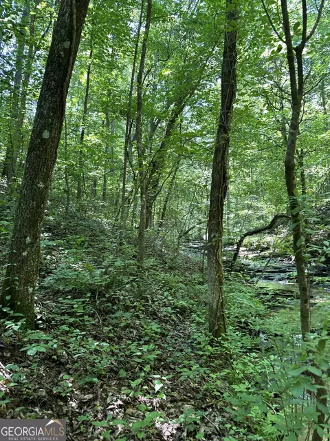 0 Hidden, Jasper, GA 30143 photo 9