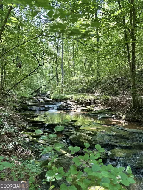 0 Hidden, Jasper, GA 30143 photo 10
